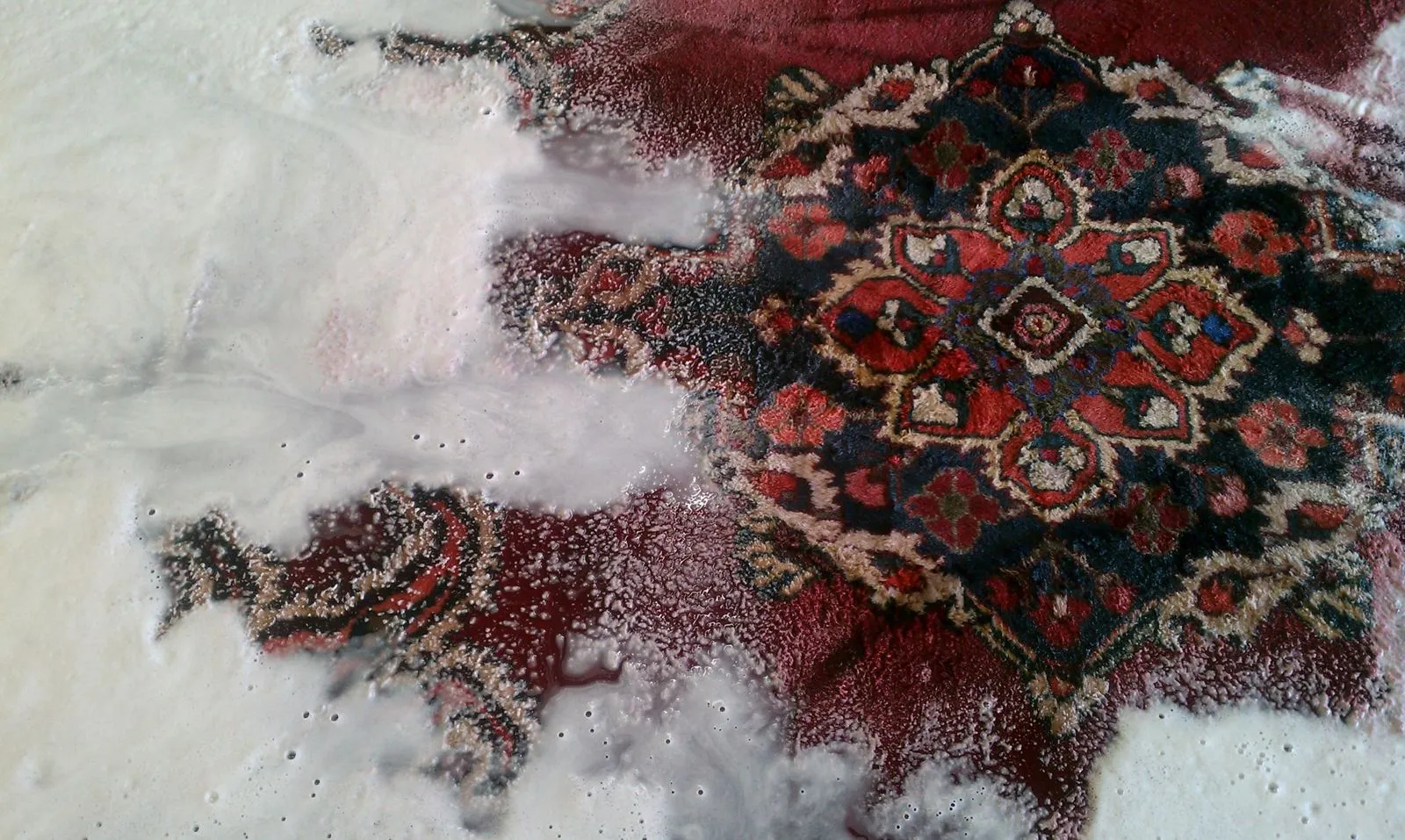 Oriental rug fully immersed in water and worked by hand with a pH shampoo